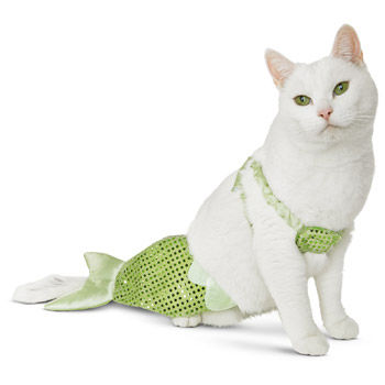Top Pet Costumes